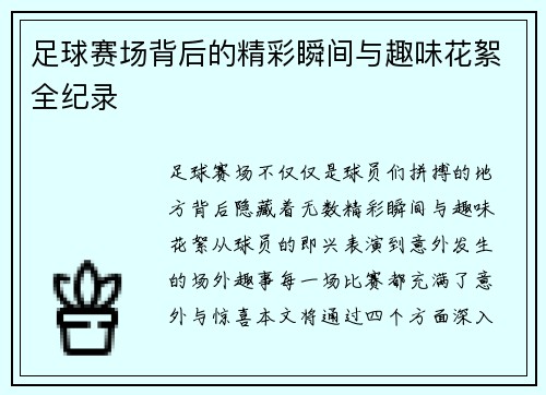 足球赛场背后的精彩瞬间与趣味花絮全纪录